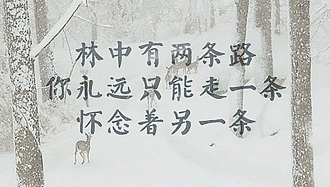 1643253042196846.jpg 1526192212137960.jpg