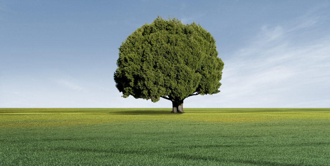 1643262019951022.jpg 1526205829101305.jpg