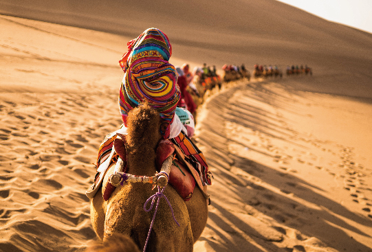 1667908518758376.jpg 站的高看的遠(yuǎn)-09.jpg