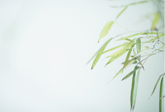 1667915344144679.jpg 1427-2-09.jpg