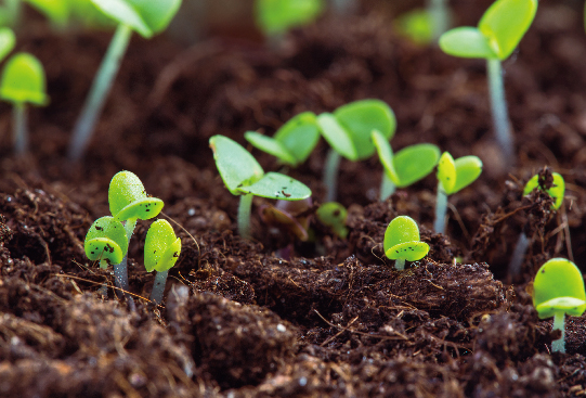 1667917765829368.jpg 1424-1-09.jpg